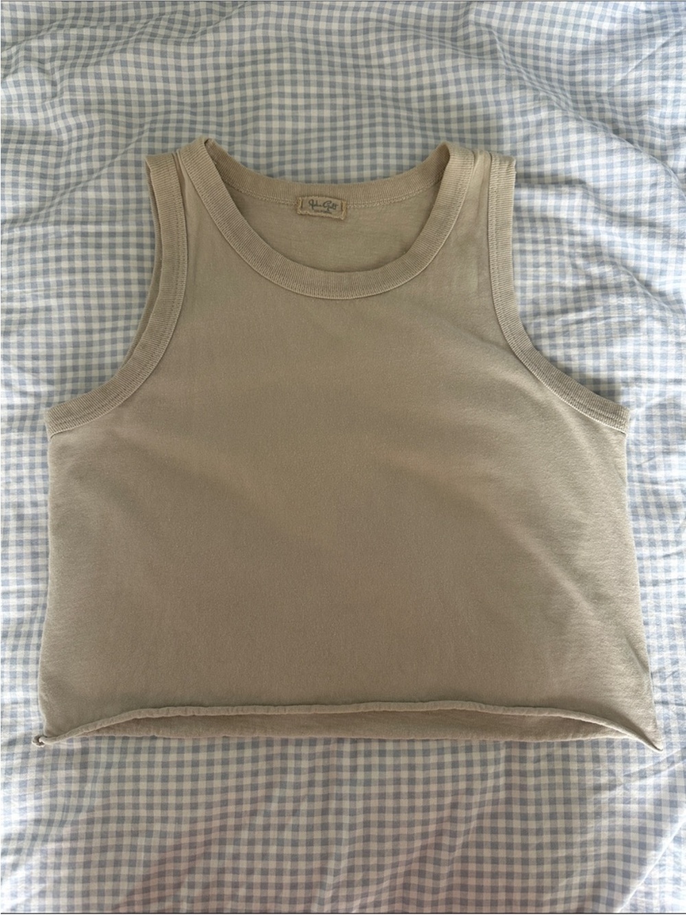 Brandy Melville Light Grey Cropped Tank